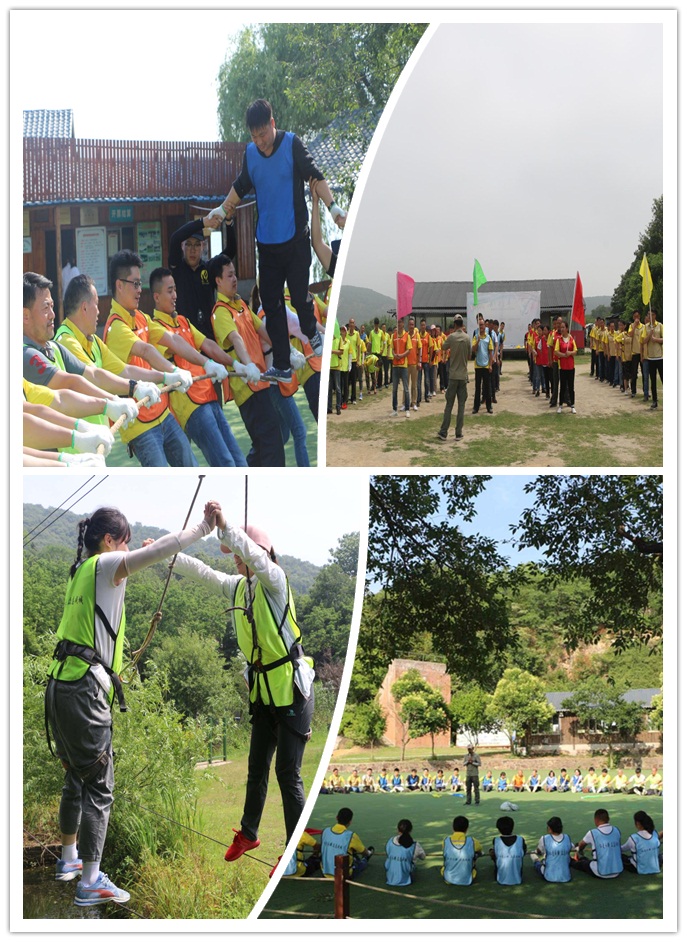 Handing people organized team building Организация тимбилдинга для людей